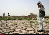 برآورد خسارت ۶۷ هزار میلیارد تومانی خشکسالی به بخش کشاورزی