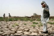 برآورد خسارت ۶۷ هزار میلیارد تومانی خشکسالی به بخش کشاورزی