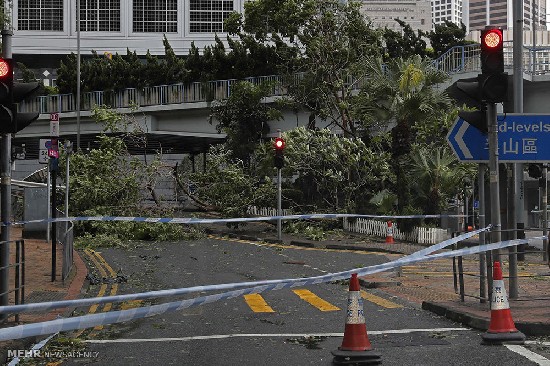 طوفان هاتو در چین و هنگ کنگ‎