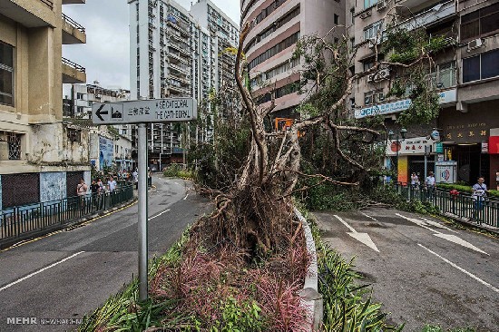طوفان هاتو در چین و هنگ کنگ‎