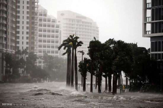 طوفان ایرما در فلوریدا‎
